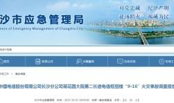 国产精品久久久久一级毛片,揭秘久久久久一级毛片的魅力与争议